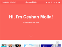Tablet Screenshot of ceyhanmolla.com